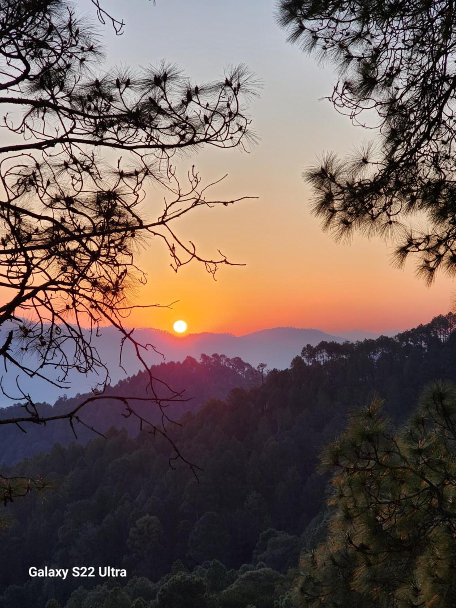 Nandini Cottage, A Premium Boutique Homestay Ranikhet Extérieur photo