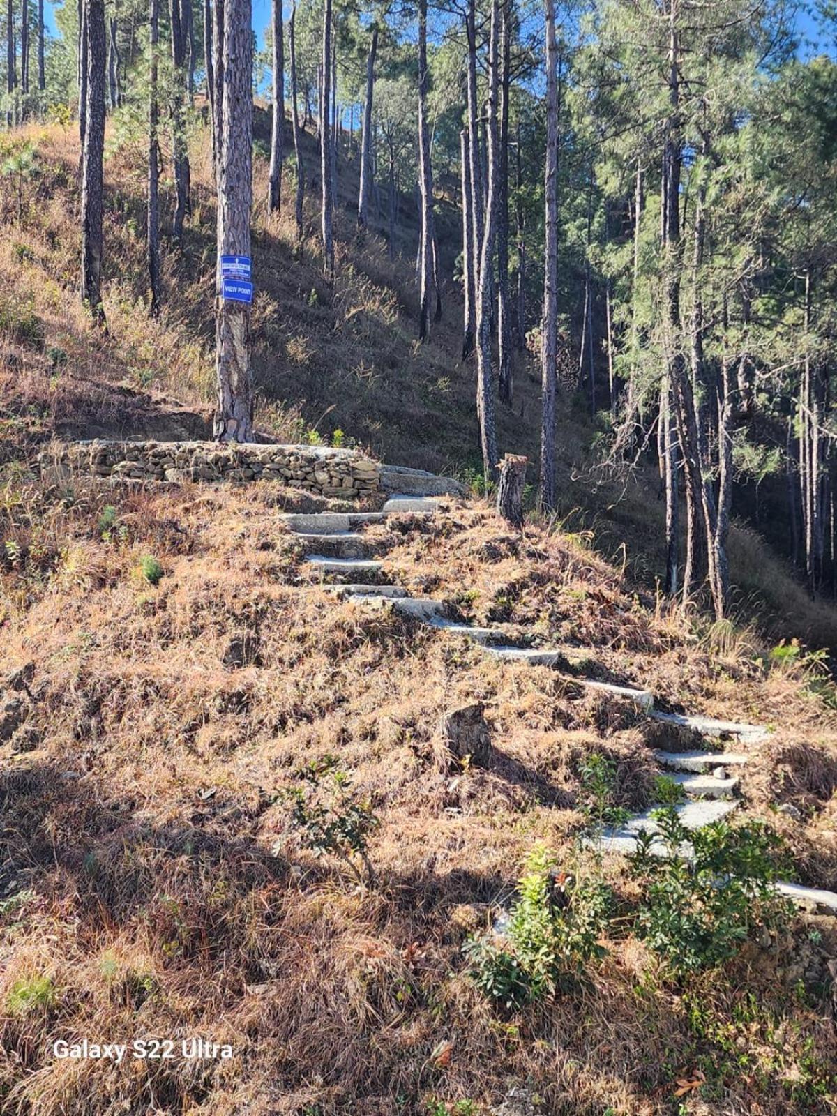 Nandini Cottage, A Premium Boutique Homestay Ranikhet Extérieur photo